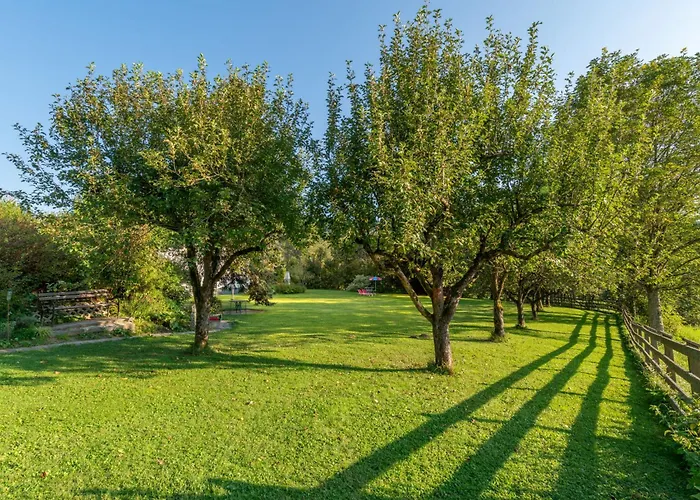 Alpenrose 4 By Interhome דירה *